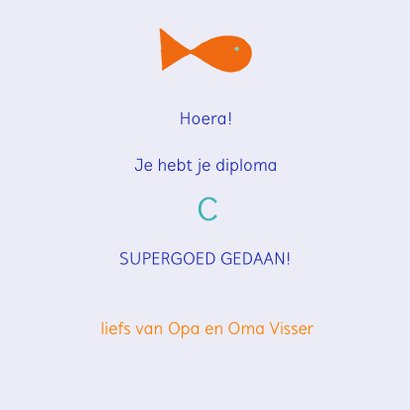 Zwemdiploma C met vissen 3