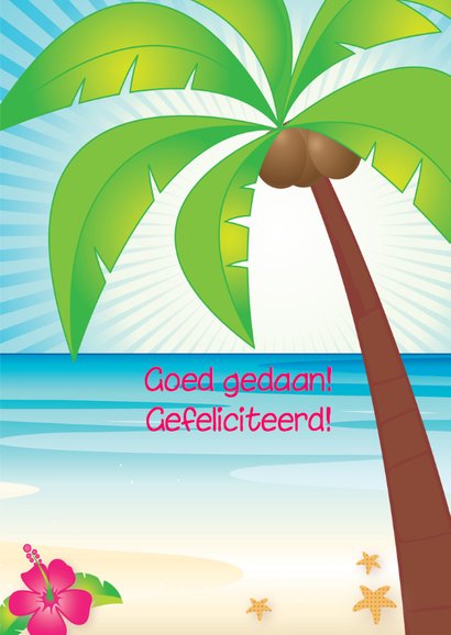 Zwemdiploma Ole C Meisje 3