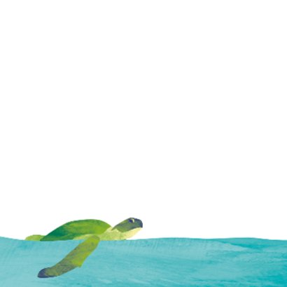 Zwemdiploma schildpad in de zee 2