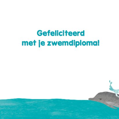 Zwemdiploma schildpad in de zee 3