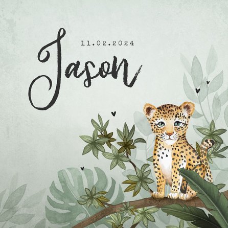 geboortekaartjes-jungle-kaartje2go