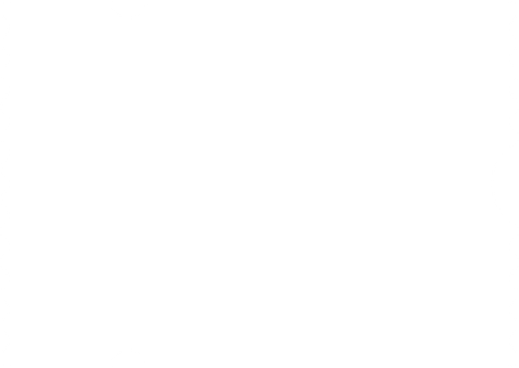 Blanco kaart in ticketvorm Achterkant