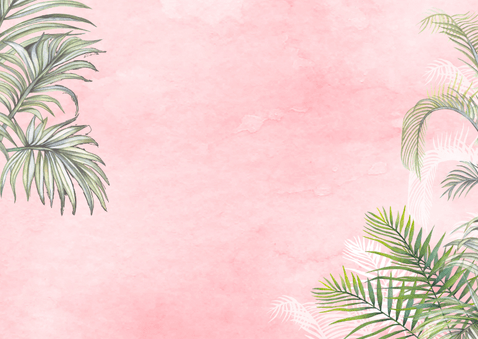 Geboorte tweeling meisje in de jungle olifantjes Achterkant