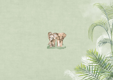 Geboortekaartje geboorte tweeling jungle  Achterkant