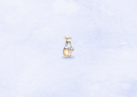 Geboortekaartje jongetje met vintage konijntje met bloemen Achterkant