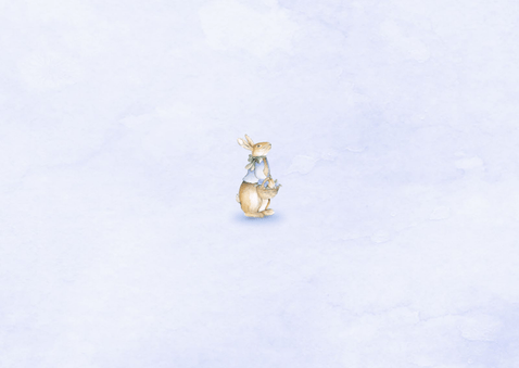 Geboortekaartje jongetje met vintage konijntje met bloemen Achterkant