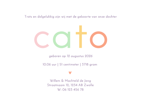 Geboortekaartje lila blokjes met gekleurde naam wave Achterkant