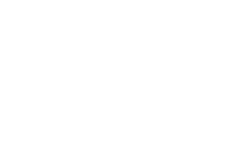 Geboortekaartje voor een tweeling twee gouden olifantjes Achterkant