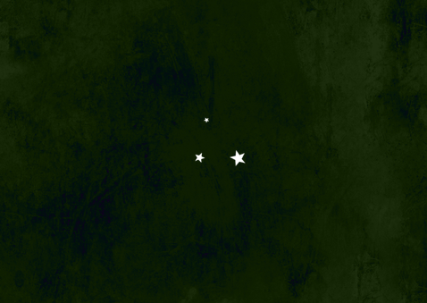 Kerst tegoedbon dennentakken goud sterretjes foto's hartjes Achterkant