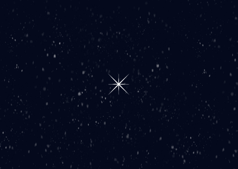 Kerstkaart winter ijsbeer foto sterren goud fijne kerst 2026 Achterkant