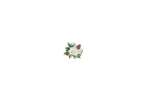Trouwkaart bedankt witte rozen kerst Achterkant