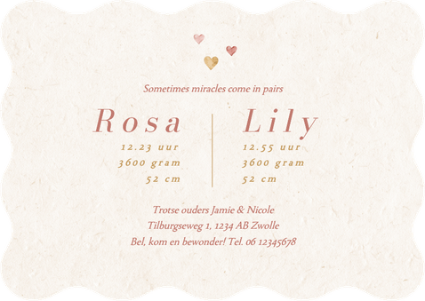Wave geboortekaartje tweeling hartjes beige roze lief Achterkant