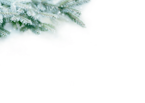 Zakelijke kerstkaart typografisch dennentakjes Achterkant