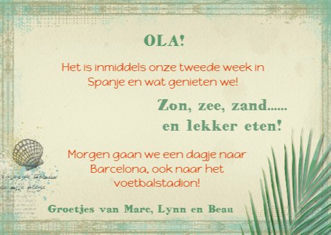 13137 Vakantiekaart Eigen foto palmblad 3