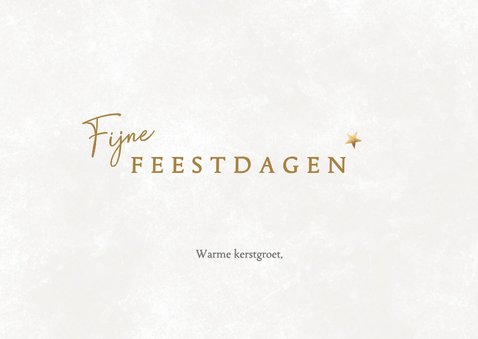 2026 kerstkaart foto in kerstbal 3