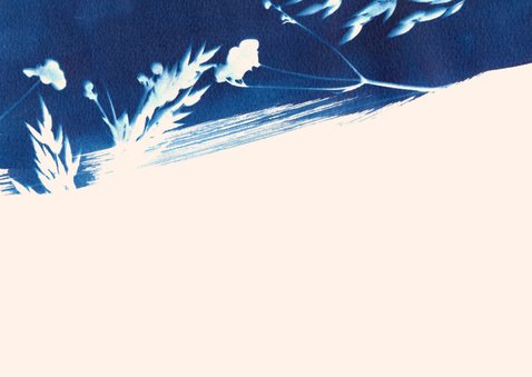 Bedankkaart wilde bloemen blauw 2