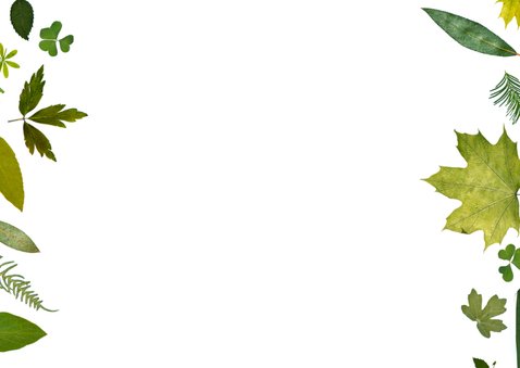 Bedankt groene blaadjes 2