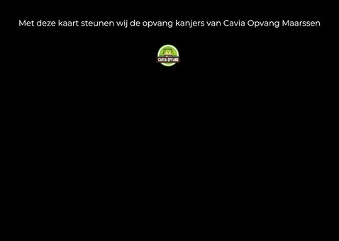 Beterschap kaart met cavia groente en fruit 2