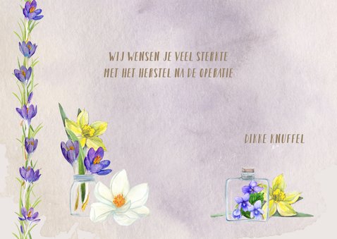 Beterschap met narcis en krokus 3