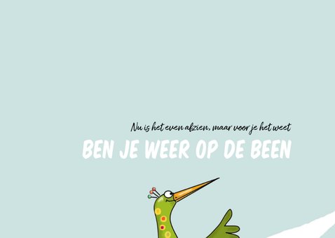 Beterschap - wat een pechvogel 2