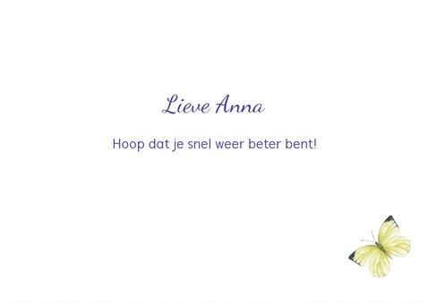 Beterschap wilde bloemen 2
