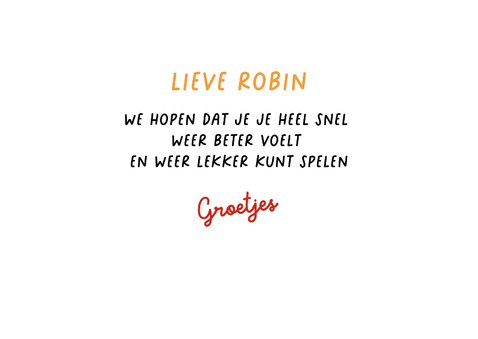 Beterschapskaart - groepje katten met een bosje bloemen 3