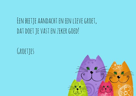 Beterschapskaart katten en vogel 3