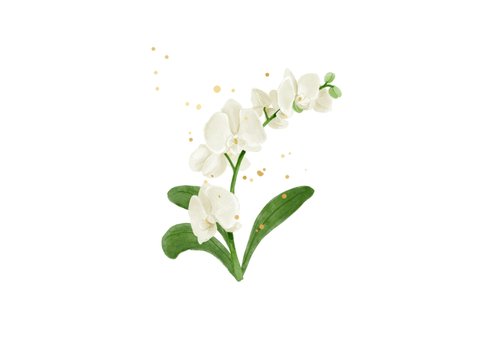 Beterschapskaart welkom thuis orchidee goud hartjes 2