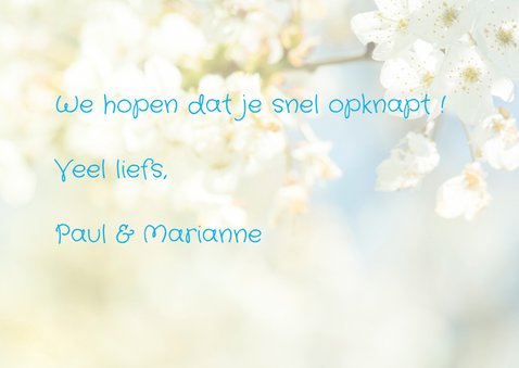 Beterschapskaarten bloesem MM 3