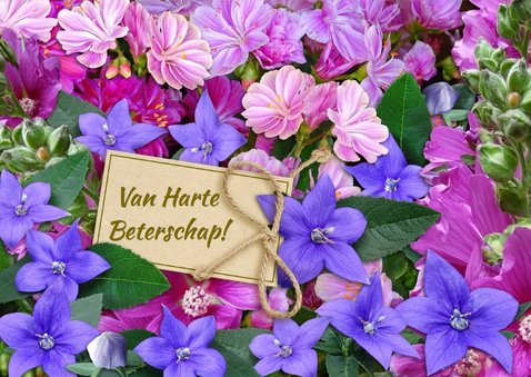 Bloemenkaart in de kleuren blauw en roze 3