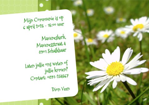 Bloemenkaart Madeliefje - BK 3