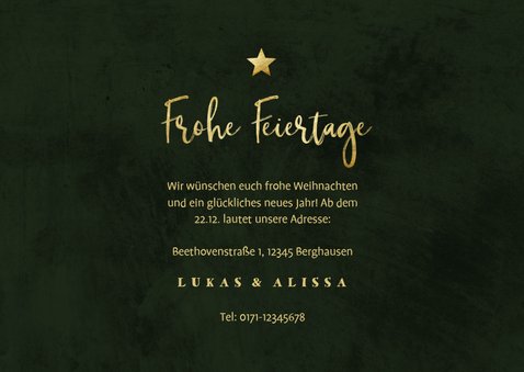 Botanische Weihnachts-Umzugskarte mit Fotos und Lichtern 3