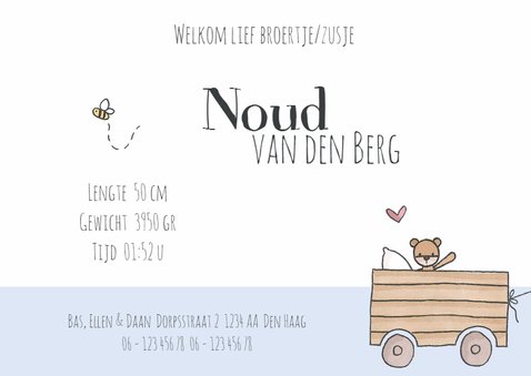 Broertje/zusje! Zoon donker LFZ 3