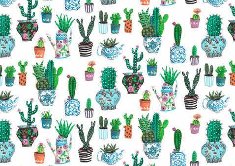 Cactus Uitnodiging Leeftijd 2