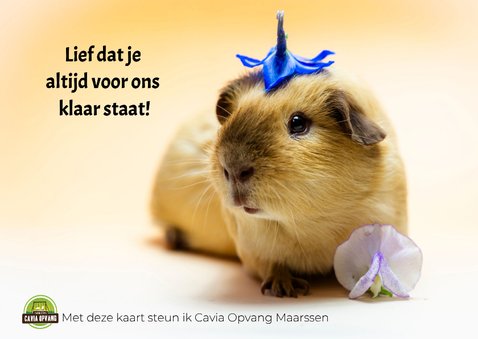Cavia bedank kaart 2