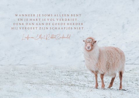 Christelijke kerstkaart met schapen en een songtekst 2