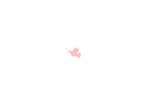 Communiekaart uitnodiging foto en roze duifje Achterkant