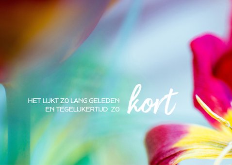 Condoleance een jaar later 2