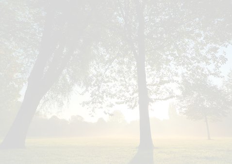 Condoleance stemmige bomen 2