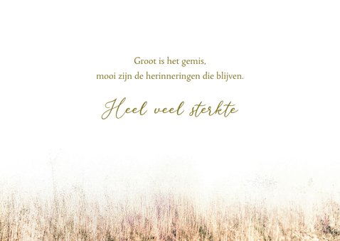 Condoleancekaart boom pastel veld 3