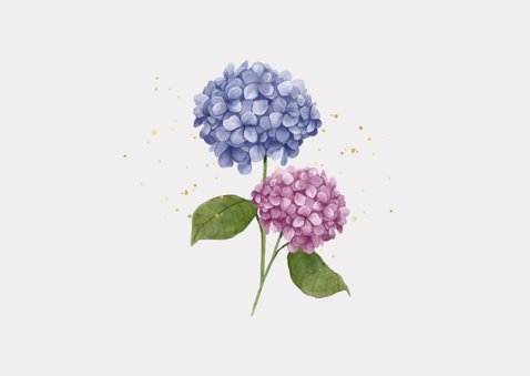 Condoleancekaart gecondoleerd bloemen hortensia paars 2