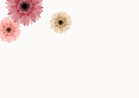 Condoleancekaart gerbera bloemen liefdevol 2