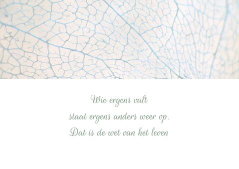 Condoleancekaart met hortensia 2