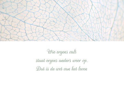 Condoleancekaart met hortensia 2