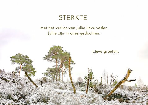 Condoleancekaart winterlandschap 3