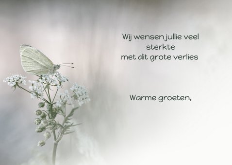 Condoleancekaart witte vlinder 3