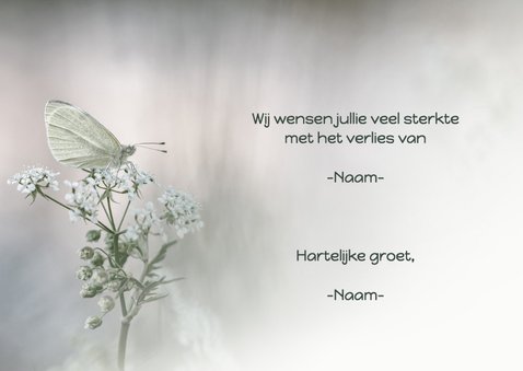 Condoleancekaart witte vlinder 3