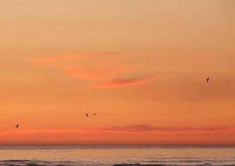 Condoleancekaart zonsondergang Noordzee meeuw gecondoleerd 2