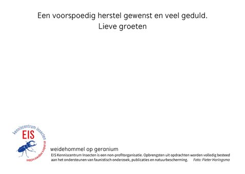 Dierenkaart, fleurige bloemen en gestreepte hommel 3