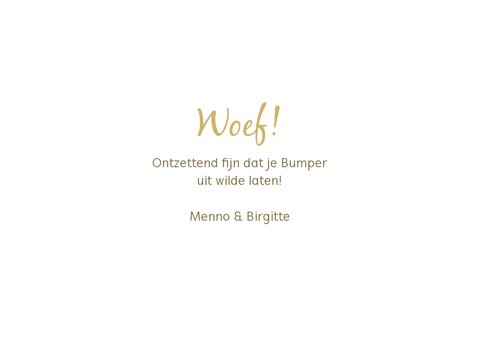 Dierenkaart met 3 foto's 3